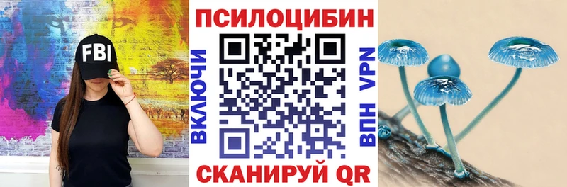 что такое   Северская  omg ссылка  Псилоцибиновые грибы Psilocybe 